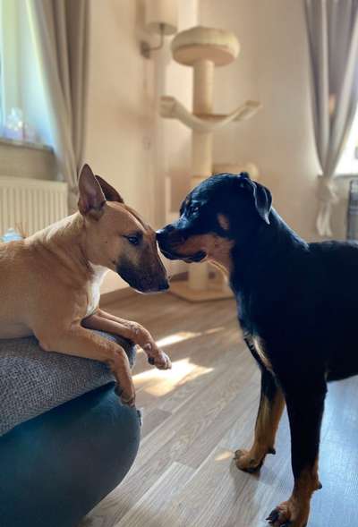 Fotochallenge Nr. 62 Romantische Momente-Beitrag-Bild