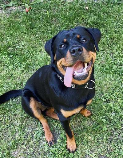 Challenge Nr. 10: "Das schönste Lächeln"-Beitrag-Bild