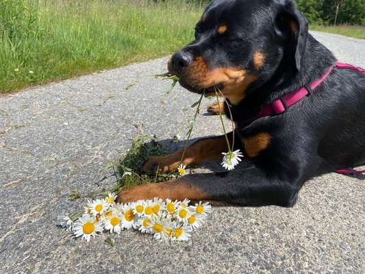 Fotochallenge No. 5-Beitrag-Bild