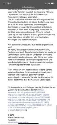 Kastration / Sterilisation bei Hündinnen-Beitrag-Bild