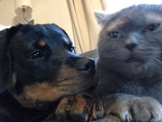 Hier ist der Spaßthread. Zum Schmunzeln und Kaputtlachen-Beitrag-Bild