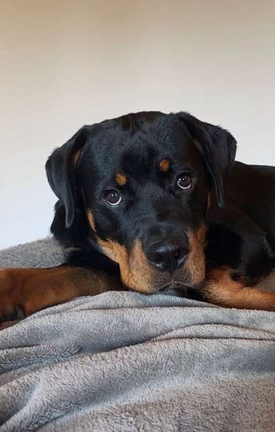 Fotochallange Nr. 57     PORTRÄT.   Beendet!!!!!!!!-Beitrag-Bild