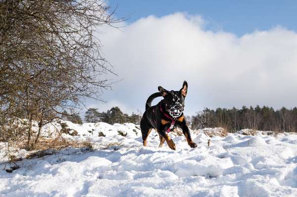 Challenge Nr. 15
Spiel im Schnee-Beitrag-Bild