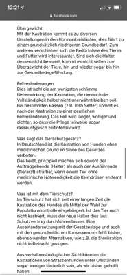 Kastration / Sterilisation bei Hündinnen-Beitrag-Bild