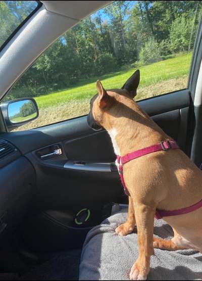 CHALLENGE NR. 18 - ON TOUR-Beitrag-Bild