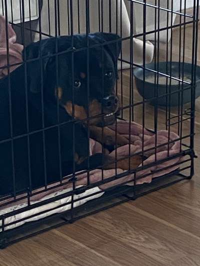 Hier ist der Spaßthread. Zum Schmunzeln und Kaputtlachen-Beitrag-Bild