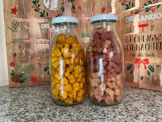 Welpen-Welche Leckerlies sind gut bzw. kommen gut an bei den kleinen Zwergen?-Beitrag-Bild