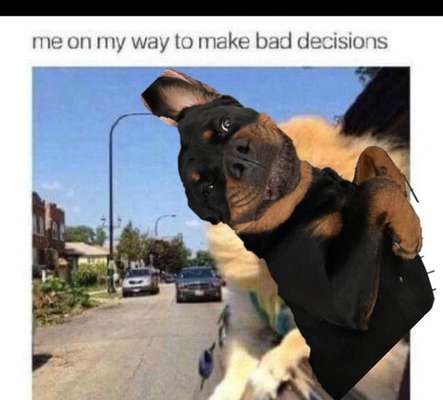 Hier ist der Spaßthread. Zum Schmunzeln und Kaputtlachen-Beitrag-Bild