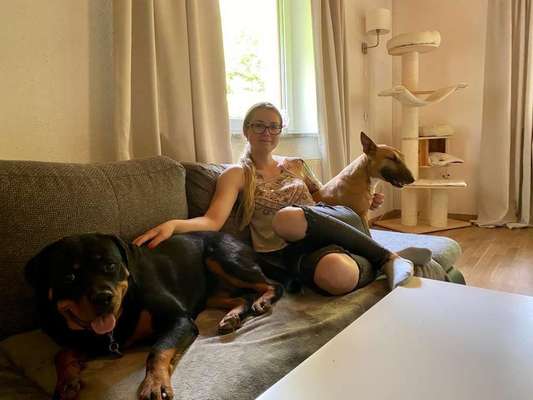 Schmusebilder-Beitrag-Bild