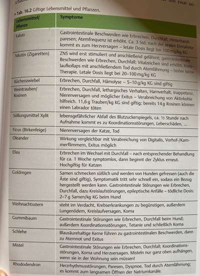 Giftig für Hunde?! Lasst uns alle mal zusammentragen was giftig ist! Schwarmintelligenz!-Beitrag-Bild