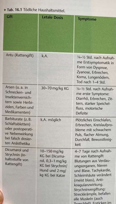 Giftig für Hunde?! Lasst uns alle mal zusammentragen was giftig ist! Schwarmintelligenz!-Beitrag-Bild