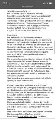 Kastration / Sterilisation bei Hündinnen-Beitrag-Bild