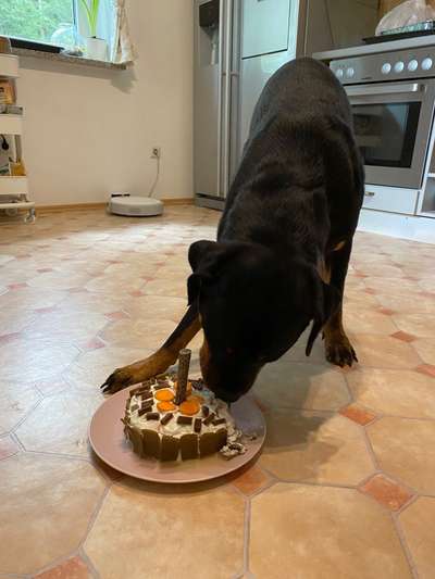 Heute gibt es.....der "ich mach die Leckerlis-Selber-Thread"-Beitrag-Bild