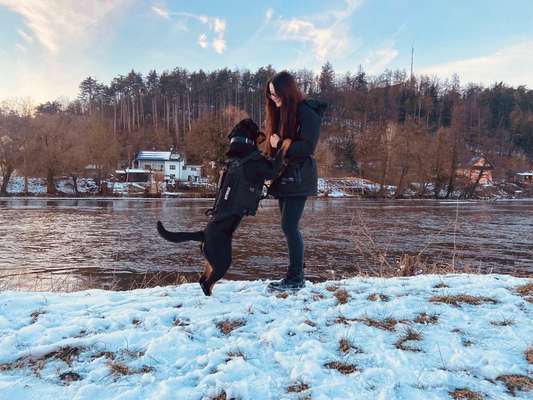 FOTOCHALLENGE NR.54-,,Liebesbeweis"-Beitrag-Bild