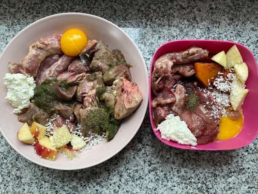 Zeigt eure Näpfe-Beitrag-Bild