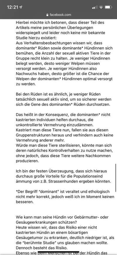 Kastration / Sterilisation bei Hündinnen-Beitrag-Bild