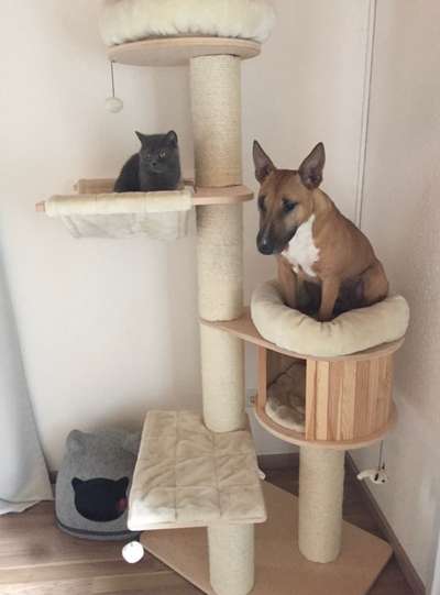 Fotochallenge No. 5-Beitrag-Bild