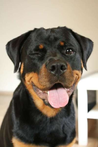 Immer lächeln !-Beitrag-Bild