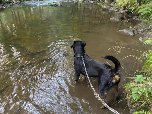 Foto Challenge - BEENDET - bitte aktuelle Challenge nutzen-Beitrag-Bild