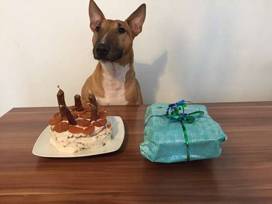 Heute gibt es.....der "ich mach die Leckerlis-Selber-Thread"-Beitrag-Bild