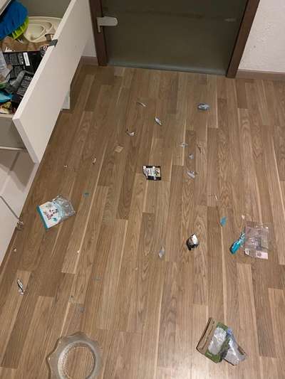 Vorurteile gegenüber Hundebesitzer-Beitrag-Bild