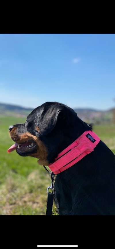 Welche Kauf Empfehlung-Beitrag-Bild