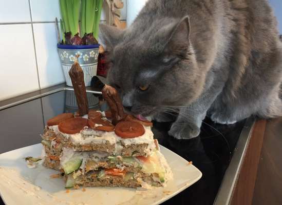 Heute gibt es.....der "ich mach die Leckerlis-Selber-Thread"-Beitrag-Bild