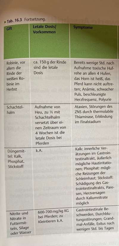 Giftig für Hunde?! Lasst uns alle mal zusammentragen was giftig ist! Schwarmintelligenz!-Beitrag-Bild