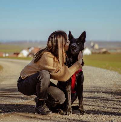 Hundetreffen-Hundefreunde in Fellbach und Umgebung