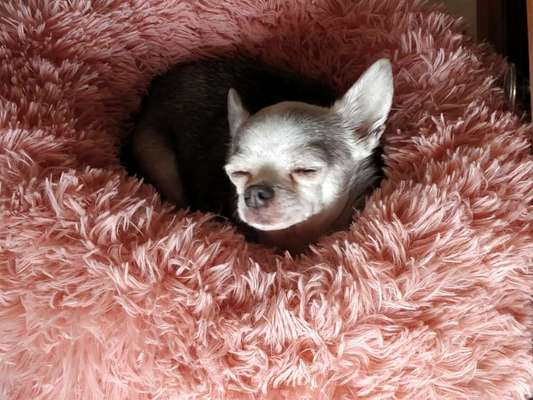 Erfahrung mit Wolkenbett-Beitrag-Bild