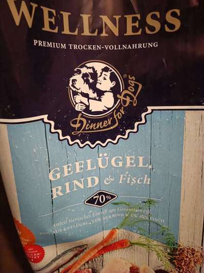 Rhodesian Ridgeback-Beitrag-Bild