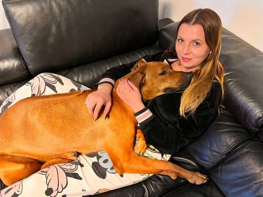 Rhodesian Ridgeback-Beitrag-Bild