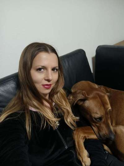 Rhodesian Ridgeback-Beitrag-Bild