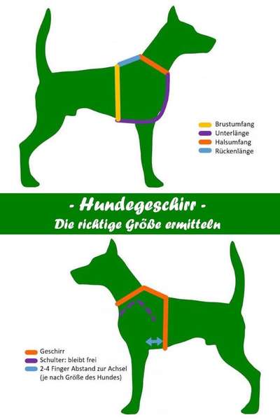 Geschirr-Beitrag-Bild