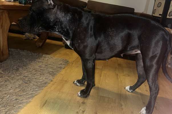 Der Gewichts-Thread-Beitrag-Bild