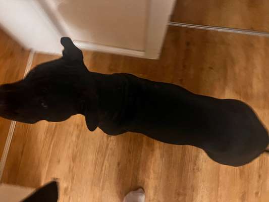 Der Gewichts-Thread-Beitrag-Bild