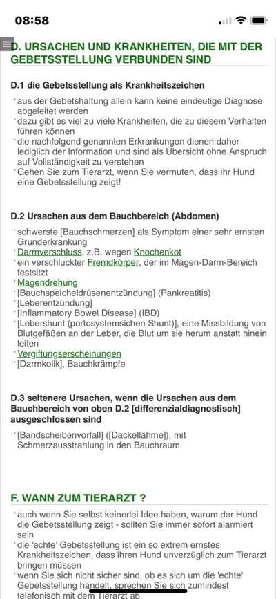 Gebetsstellung-Beitrag-Bild