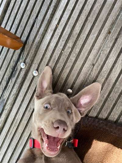 Her mit dem Grimassen-Beitrag-Bild