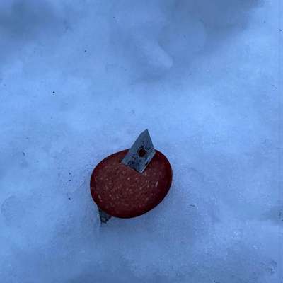 Giftköder-Wurst mit Rasierklinge-Bild