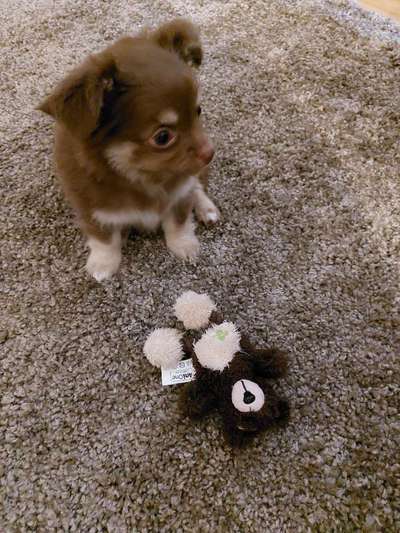 Erstes Bild-Beitrag-Bild