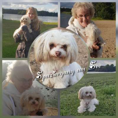 Die Dogorama Monats Challenge "Es grünt und blüht"-Beitrag-Bild