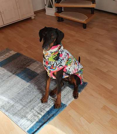 Wintermantel-Beitrag-Bild