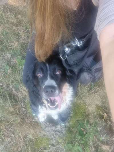 Handy-Foto Challange Nr. 10-Beitrag-Bild