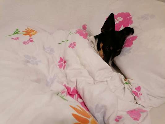 Gemeinsames Kuscheln im Bett!-Beitrag-Bild