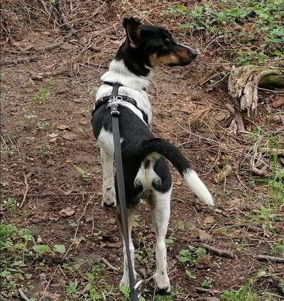 Blick fürs Detail!-Beitrag-Bild