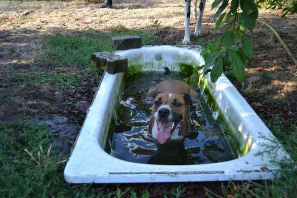 Handyfoto challenge Nr. 13: Waschlappen raus!-Beitrag-Bild