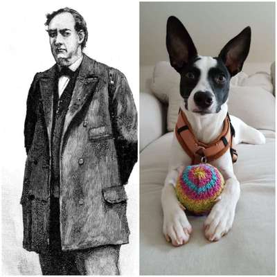 Wie heißt dein Hund?-Beitrag-Bild