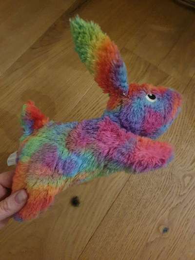 Windhunde - Treffen der besonderen Schönheiten
HERZLICH WILLKOMMEN-Beitrag-Bild