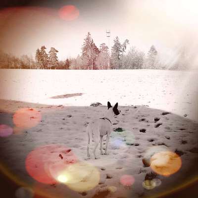 Handyfoto Challange  - Winter,Schnee-Beitrag-Bild