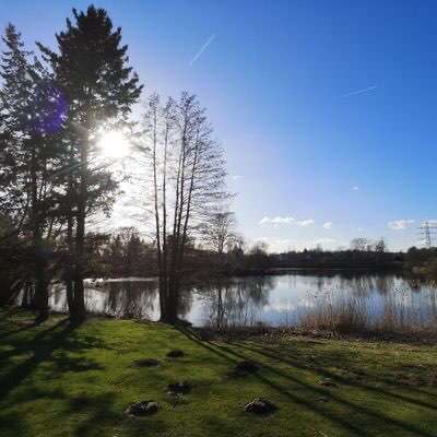 Hundeauslaufgebiet-Heywoodpark Peine-Bild